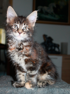 Esmeralda